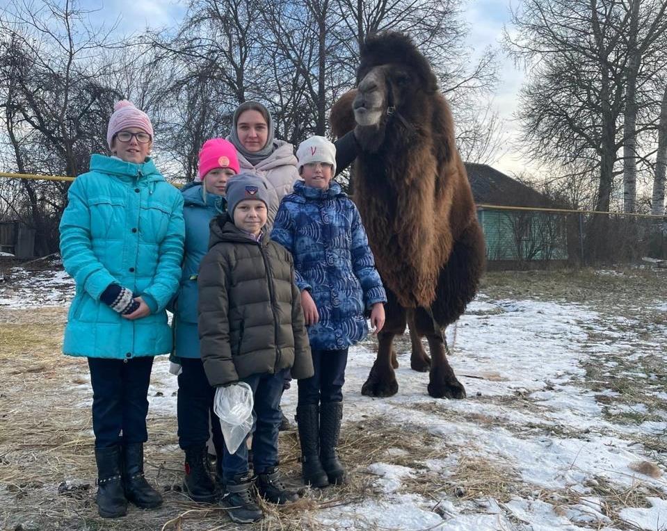 Экскурсия в местный зоопарк.